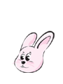 캰 Ǯ